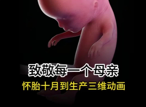 女子本弱，为母则刚，致敬伟大的母亲们！BEVICTOR伟德科技-孕期三维动画定制