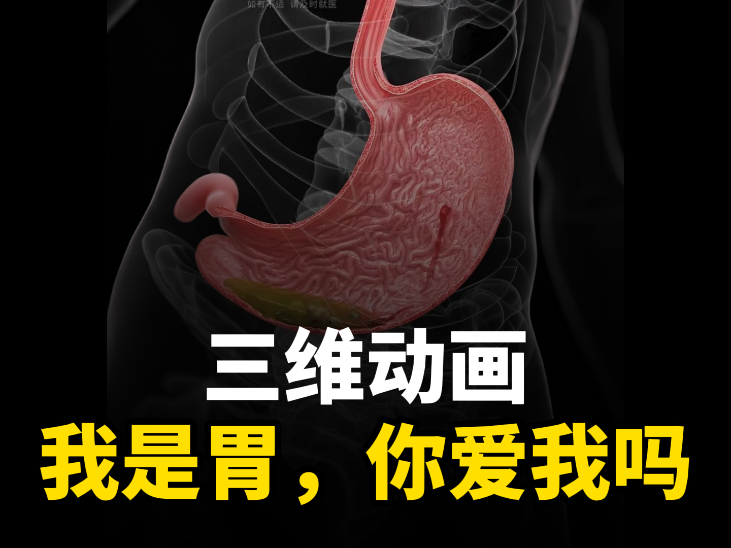 “您好，主人！”来自胃的告白！-人体三维动画定制-BEVICTOR伟德科技三维动画