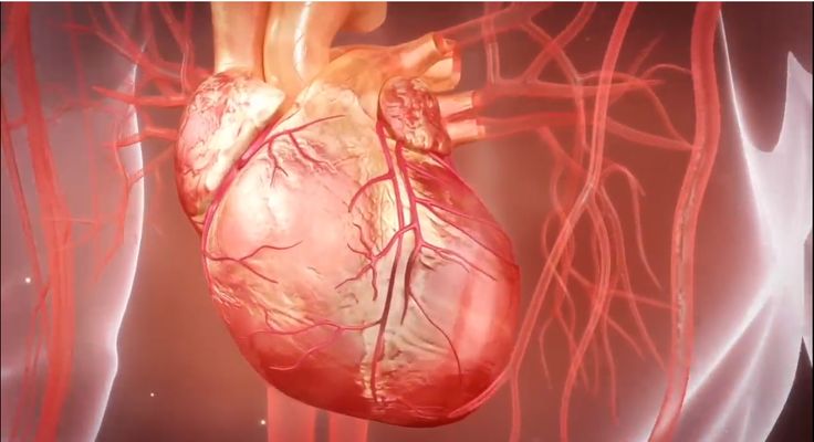 从0到1的全解析：医疗器械三维动画制作的标准化流程